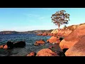 RELAXING BEACH SOUNDS | Soft Meditation Music, Sounds of the Ocean and Tropical Beaches #meditation