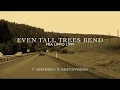 Download Lagu Even Tall Trees Bend (Lyrics) by Fra Lippo Lippi