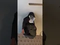 Download Lagu Scary Conjuring Nun prank on my husband |Tiktok Destene and Brandon #scary #conjuring #prank #shorts