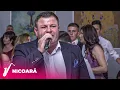 Download Lagu Petrica Brundeanu si Armin \u0026 Petrica Nicoara - Colaj Jiene - Nunta Petrosani
