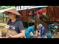 Download Lagu The Power of Kindness: Kind people help Thuy rescue pets and house before storm Bualoi