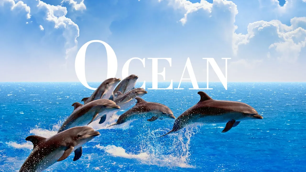 The Ocean 4K - Marine Life - Scenic Wildlife Film With Peaceful Relaxing Music - 4k Video UltraHD