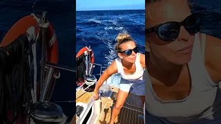 Learn to Sail a Performance Catamaran in 60 Seconds #shorts