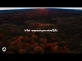Dua Lipa - Training Season (Live from The Royal Albert Hall) | Lyrics