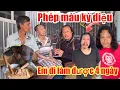 Download Lagu Chấn động trời ơi.. không thể tin được Phép màu kỳ diệu  Em trai đã phục hồi thần tốc đi làm lại