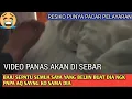 Download Lagu Bisa Jadi Pembelajaran Untuk Semua Para Tkw Di Luar Negeri 