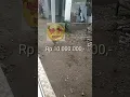 Download Lagu Viral. Vidio lucu pasal ayam masuk rumah tetangga
