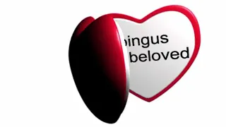 BINGUS MY BELOVED