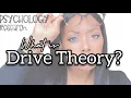 What is the Drive Theory Conformity Human Psychology Zajonc