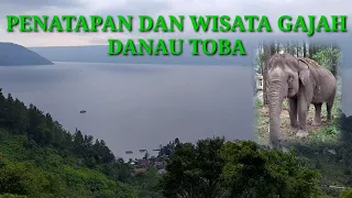 Download PENATAPAN DAN WISATA GAJAH DANAU TOBA| AEK NAULI ELEPHANT CONSERVATION CAMP| PARAPAT| DANAU TOBA MP3