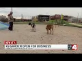 K9 Garden dog park and bar opens in former Bar-K location