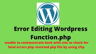 WordPress Site Error While Editing Functions php