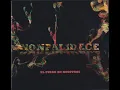 Nonpalidece - La Gran Mentira