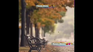 أجمل أغنية كردية عن الشتاء أيرو زستانة حالات واتس روعة 