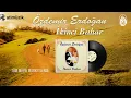 Özdemir Erdoğan - İkinci Bahar Yeni Baskı Plak