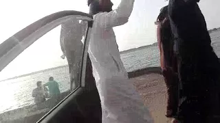 يافع المفلحي عبادي قحطان دندنها