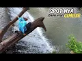 Download Lagu Dari Mancing diselokan Sampai pindah ke sungai besar yang tidak pernah di pancingi Gubernur