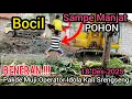 Lagu BENERAN‼️OPERATOR IDOLA KALI SRENGSENG❗️BOCIL SAMPE MANJAT POHON MAU LIHAT EXCAVATOR PAKDE MUJI❗️