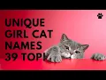 Unique Girl Cat Names 39 UNCOMMON CUTE Ideas Female Names