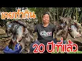 Download Lagu ไม่ได้กินมาเกือบ 20 ปี! พ่อทำแอบอึ่งให้กินอีกครั้ง ครัวป่าไผ่