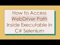 How to Access WebDriver Path Inside Executable in C Selenium