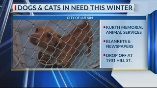 Lufkin animal shelter needs clean blanket newspaper donations