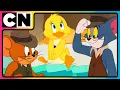 Download Lagu Tom and Jerry 😺🐭| A Symphony of Silent Chaos!😆| Best Animations😆| @cnindia​