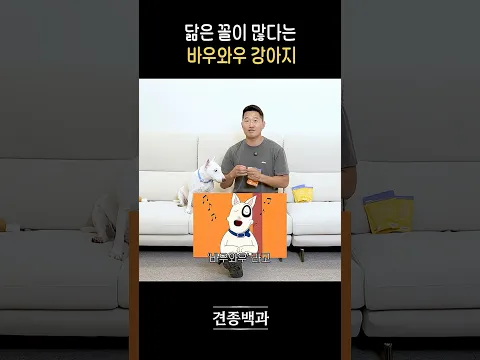 바우와우를 아신다면 지금 당장 건강검진을 예약하세요