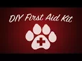 DIY First Aid Kit for Cat or Dog
