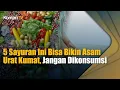 Download Lagu 5 Sayuran Ini Bisa Bikin Asam Urat Kumat, Jangan Dikonsumsi