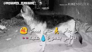 كريم فؤاد   انا اللي يبعني ابيعه دندنها