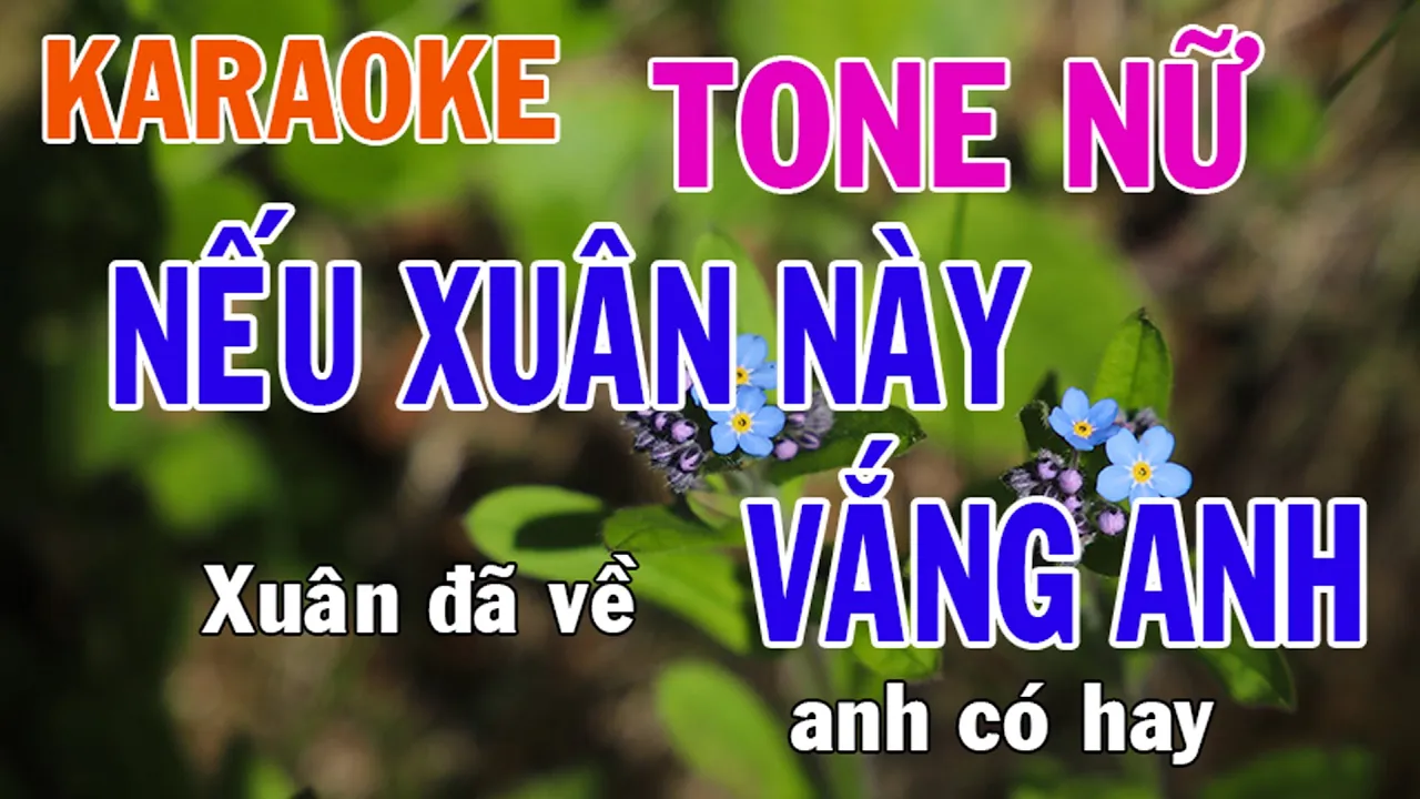 Nếu Xuân Này Vắng Anh Karaoke Tone Nữ Nhạc Sống - Phối Mới Dễ Hát - Nhật Nguyễn