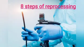 Reprocessing of flexible endoscopes cleaning and maintenance of endoscopes