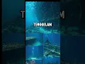 Download Lagu di kedalaman ini kapal titanic tenggelam!! #edukatif #faktasejarahdunia #faktadunia #sejarah