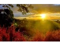 Download Lagu EDVARD GRIEG - Morning