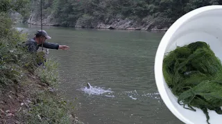 This Bait Works AMAZINGLY Well in the River!