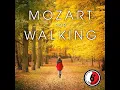 Piano Concerto No. 23 in A Major, K. 488: I. Allegro