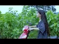 Download Lagu Steaming pot of braised lamb in Jiangnan style 红烧湖羊肉，小鲜肉老味道，忘不了的心头爱。| Liziqi channel