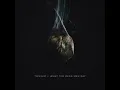 Download Lagu Trivium - The Ones We Leave Behind (A Tuning)