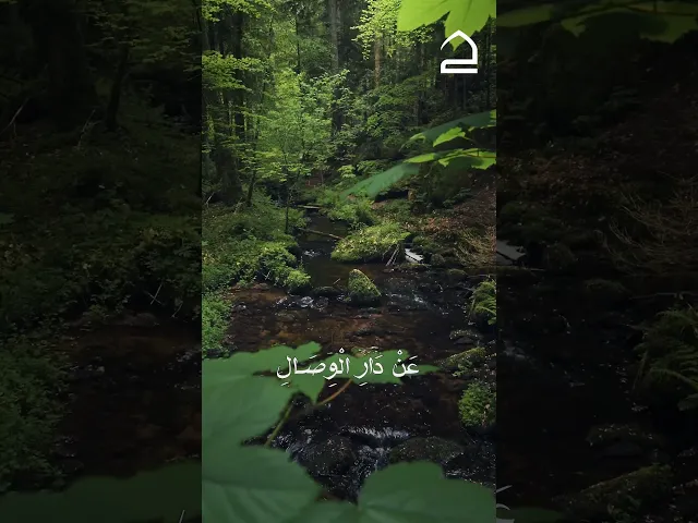 ⁣#دعاء_الصباح إِلَهِي أَتَرَانِي مَا أَتَيْتُكَ إِلَّا مِنْ حَيْثُ الآمَالُ