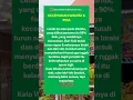 Download Lagu Kelemahan wanita dan pria | suami istri bahagia #shors