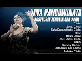 Download Lagu Vina Panduwinata Full Album Nostalgia Terbaik Era 80 - 90an - Cinta, Surat Cinta