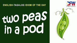 TWO PEAS IN A POD Tagalog English Tagalog Translation English Idioms In Filipino 