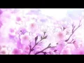 FRANK OCEAN - PINK + WHITE  ( s l o w e d   +   r e v e r b )
