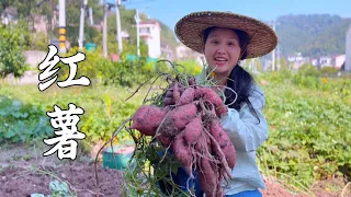 红薯还能这样吃,轻轻一夹就拉丝,孩子抢着吃