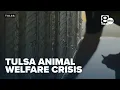 Tulsa Animal Welfare in crisis as shelter capacity reaches critical levels