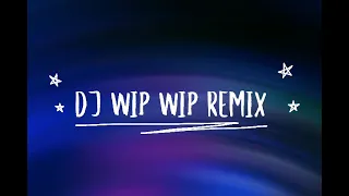Download DJ Wip Wip Remix MP3