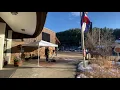 Evergreen Holiday Walk