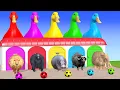Download Lagu Long Slide Game With Cow Elephant Gorilla Hippopotamus Tiger - 3d Animal Game - Funny 3d Animals