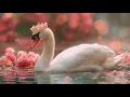 Download Lagu Самая красивая мелодия в мире... Я плакала, когда услышала эту песню! Красивая Мелодия До Слез